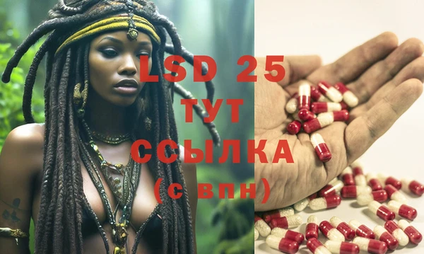 спиды Апатиты