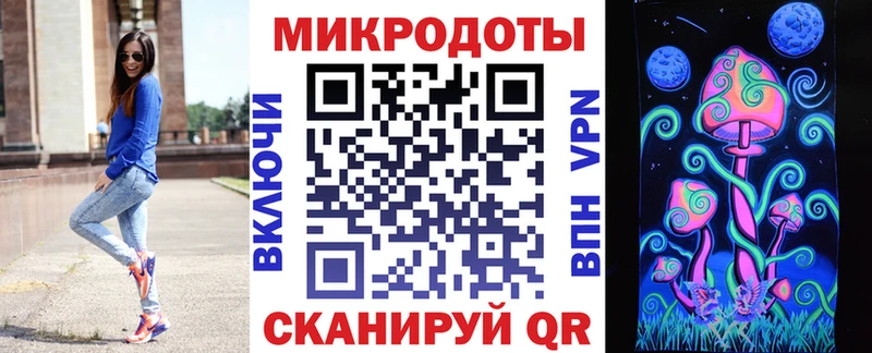 Псилоцибиновые грибы Psilocybe  Калтан 