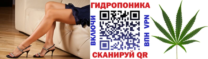 купить наркотик  Калтан  Бошки марихуана марихуана 